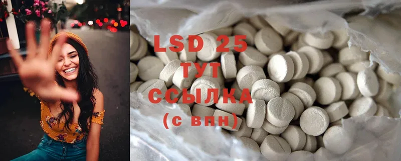 LSD-25 экстази кислота  дарнет шоп  Новотроицк 